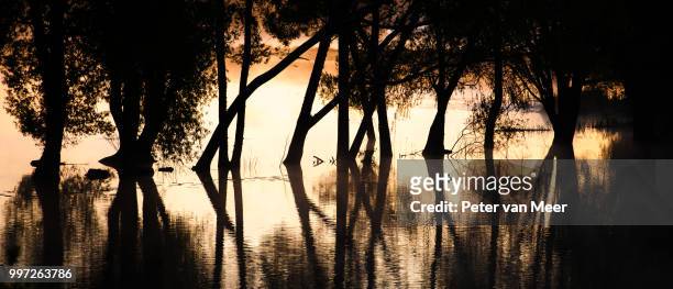 kaiapoi lakes misty sunrise - meer photos et images de collection