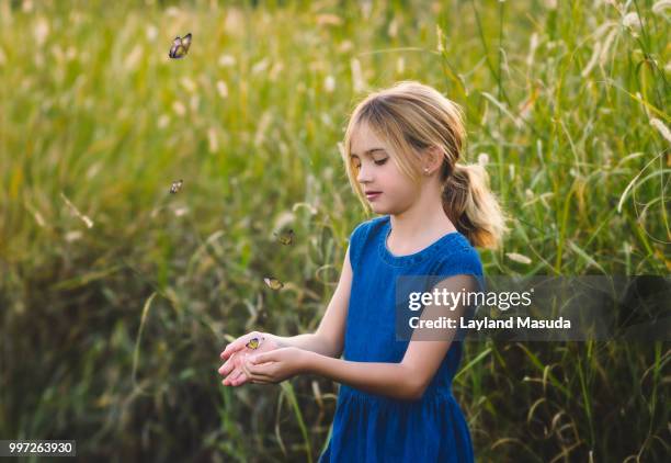 summer girl with butterflies - catching butterflies stock pictures, royalty-free photos & images