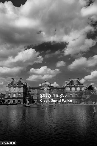 jardin du luxembourg - jardin stock pictures, royalty-free photos & images