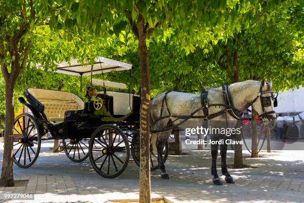 horse carriage - werkdier stockfoto's en -beelden