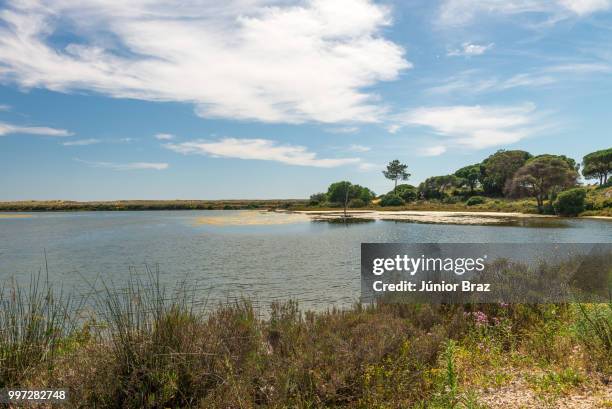 quinta do lago landscape, in algarve, portugal - quinta stock pictures, royalty-free photos & images