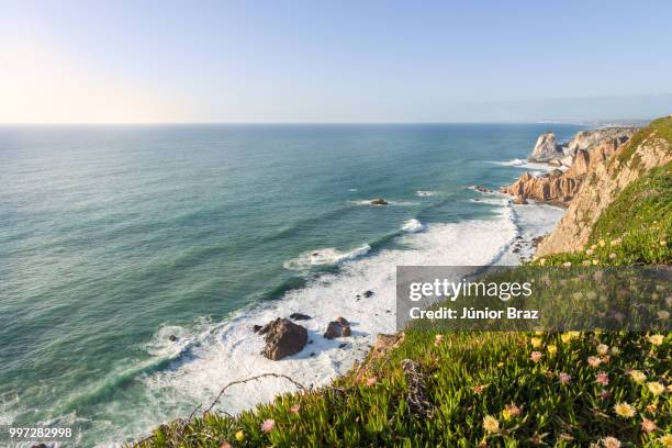 cabo da roca, extreme western point of europe in sintra. - roca 個照片及圖片檔