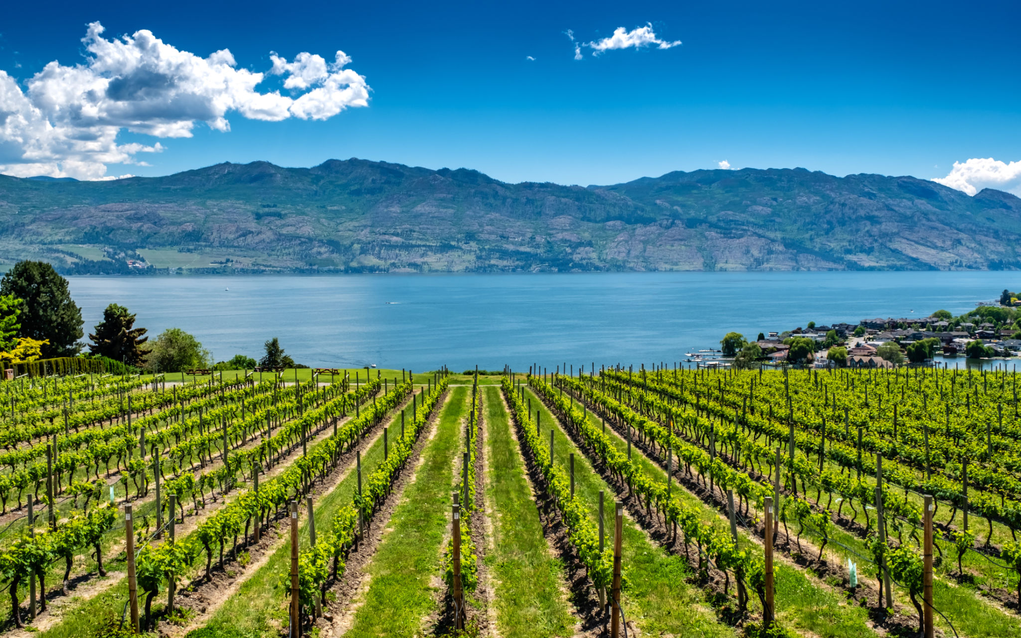 west kelowna sports
