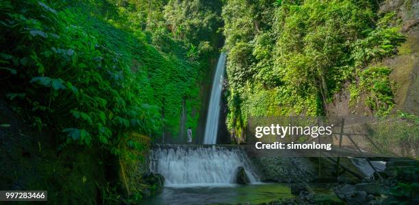 waterfall in bali, indonesia - denpasar stock pictures, royalty-free photos & images