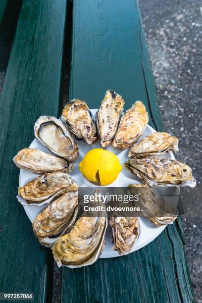 a dozen oysters on a plastic plate - plastic plate stock-fotos und bilder