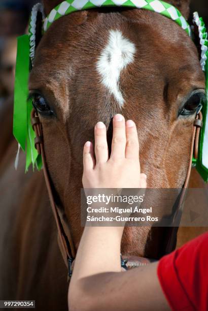 una mano amiga - caravaca de la cruz - de la mano imagens e fotografias de stock