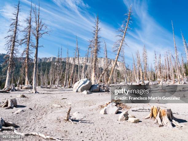 mammoth lakes in california, usa - flora gonzalez imagens e fotografias de stock