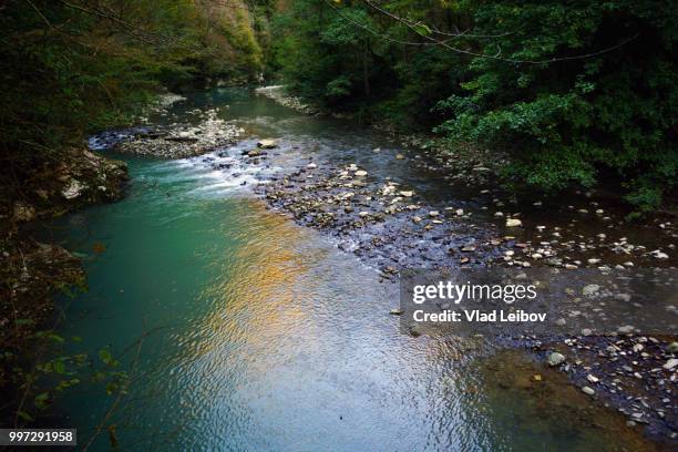 631 Caucasus Nature Reserve Stock Photos, HighRes Pictures, and Images