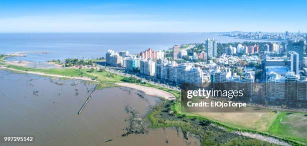 aerial view, high angle view of montevideo's coastline, punta carretas neighbourhood, uruguay - ojo stockfoto's en -beelden