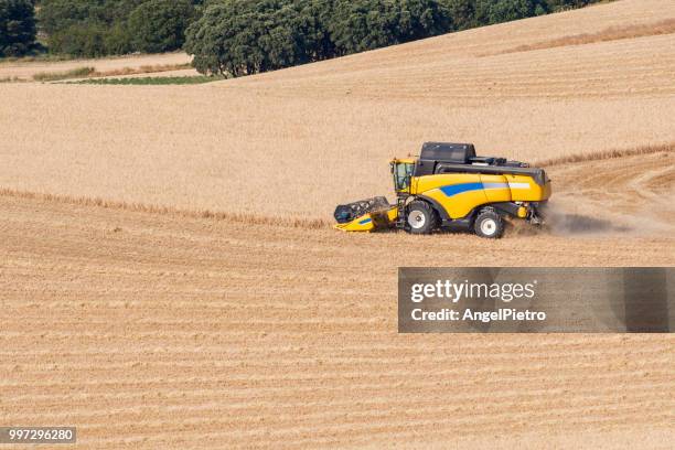 the combine harverster, black kites and sunflower plants - ciudad real province stock pictures, royalty-free photos & images