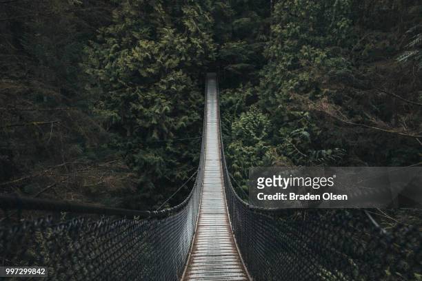 lynn canyon suspension bridge - olsen stock pictures, royalty-free photos & images