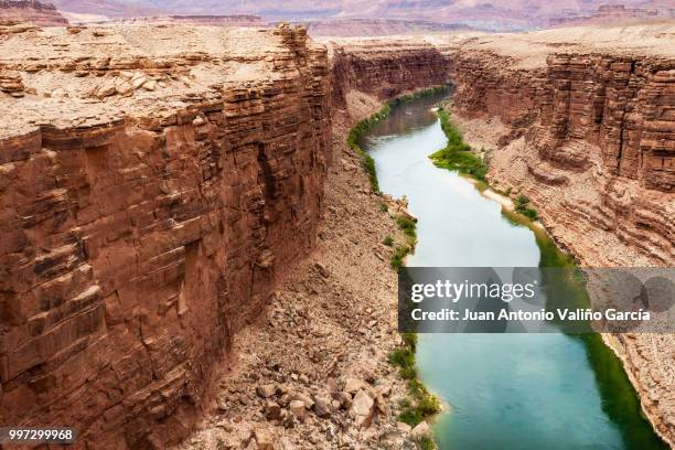 colorado river flows through marble canyon - marble canyon foto e immagini stock