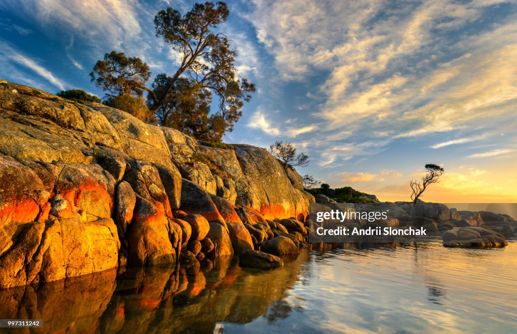 Bay of fires. Sunrise.