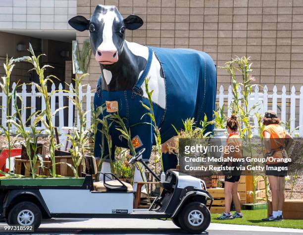 With just days before the opening of the OC Fair, crews landscape around a giant cow wearing overalls the OC Fair on Tuesday, July 10, 2018. The fair...