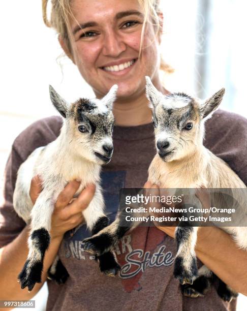 Sarah Kupelian of the Great American Petting Zoo, holds two day-old baby pygmy goats at the OC Fair on Tuesday, July 10 in Costa Mesa. The fair opens...