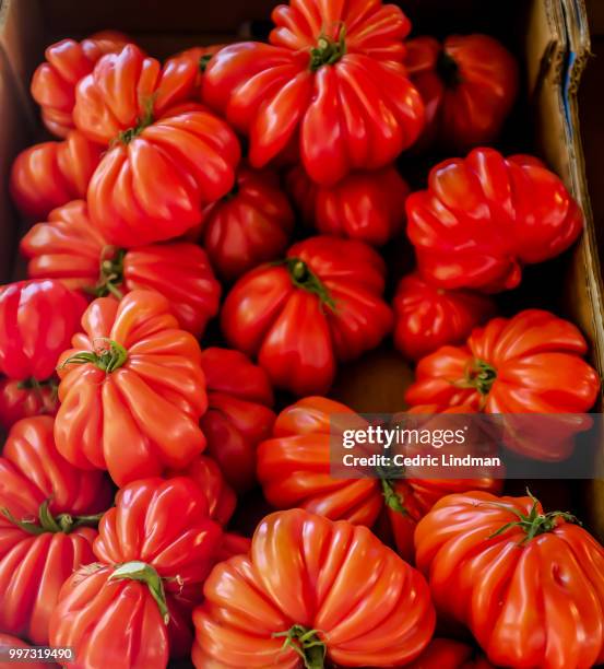 coeur de boeuf - coeur fotografías e imágenes de stock