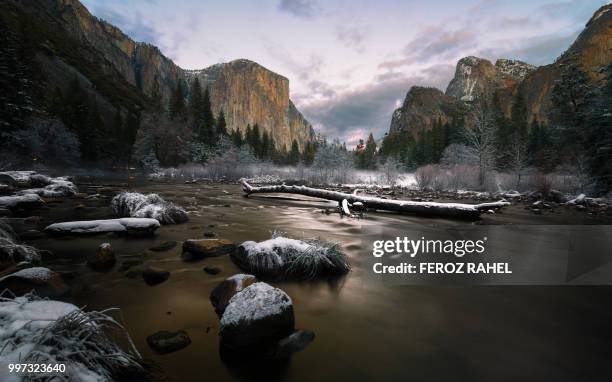 valley view of el capitan! - feroz stock pictures, royalty-free photos & images