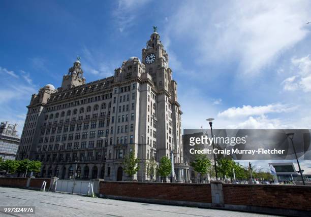 liver building - fletcher stock pictures, royalty-free photos & images