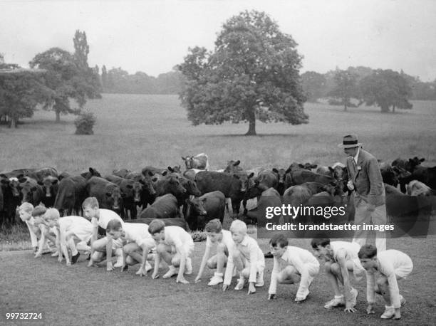 Some unusual visitors watched the annual sports a the Tenterden Hall Sports near St. Albans. Some fifty head of cattle gazed soulfully at the...