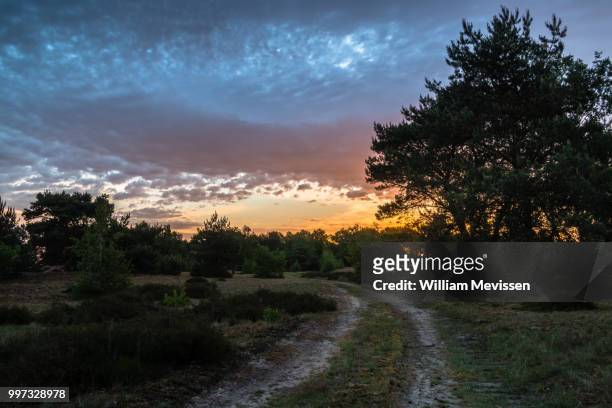cloudy sunrise path - william mevissen stock pictures, royalty-free photos & images