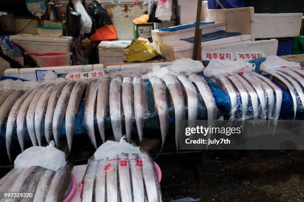 silver hairtail fish - july7th stock pictures, royalty-free photos & images