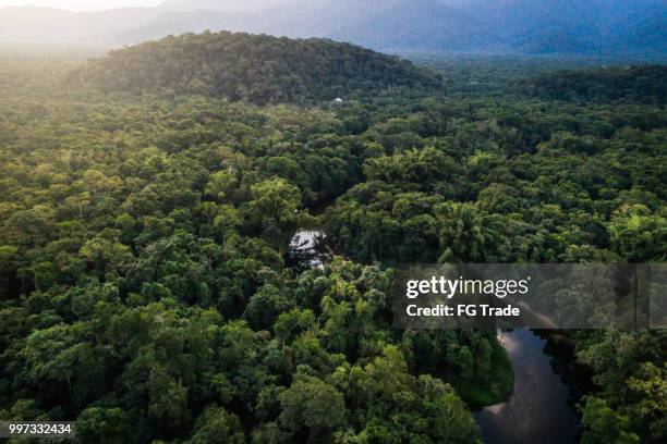 mata atlantica - atlantische bos in brazilië - bosrijk gebied stockfoto's en -beelden