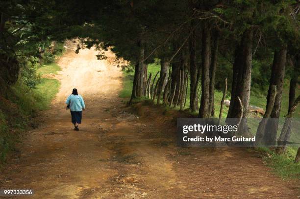 woman descending a dirt path down cerro el pital, el salvador's highest peak at 2730m. - el m 1 stock pictures, royalty-free photos & images