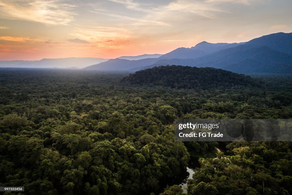Mata Atlántica - bosque Atlántico en Brasil