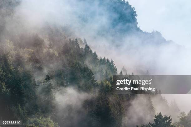 misty mountain - bisping stock pictures, royalty-free photos & images