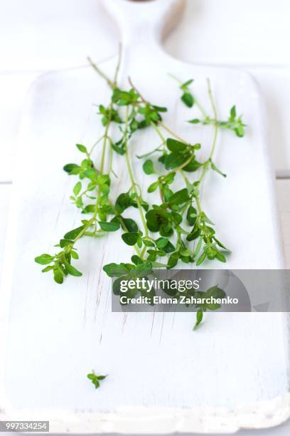 fresh thyme - flat leaf parsley - fotografias e filmes do acervo