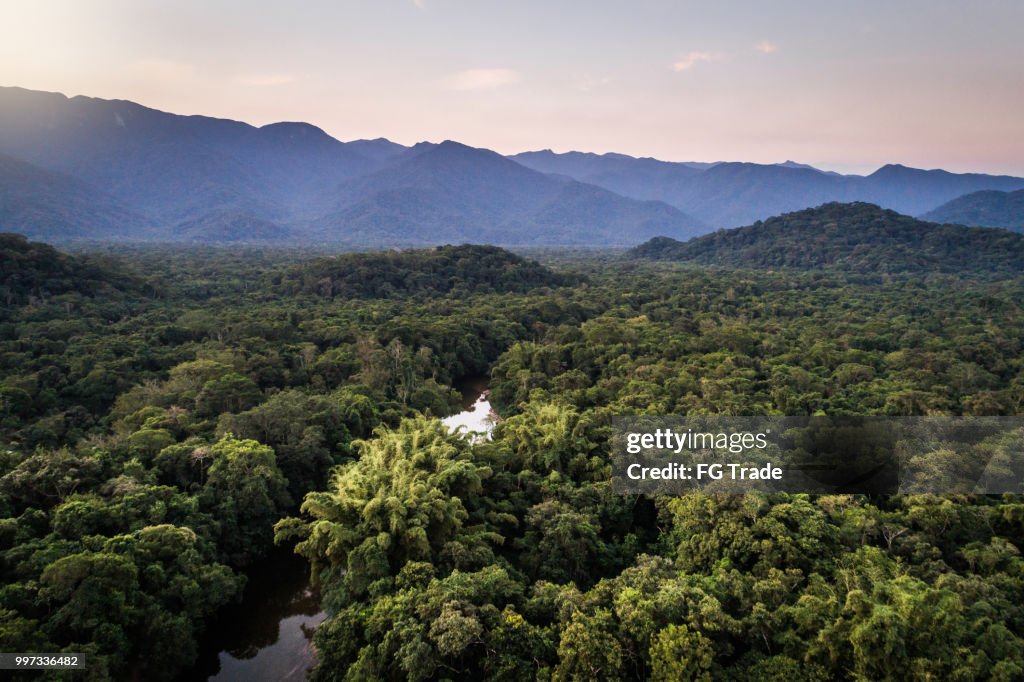 Mata Atlântica - a mata Atlântica no Brasil