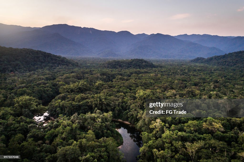 Mata Atlantica - Atlantic Forest in Brazil