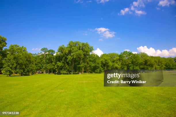 manicured lawn and deciduous trees in public park, croton-on-hudson - deciduous stock pictures, royalty-free photos & images