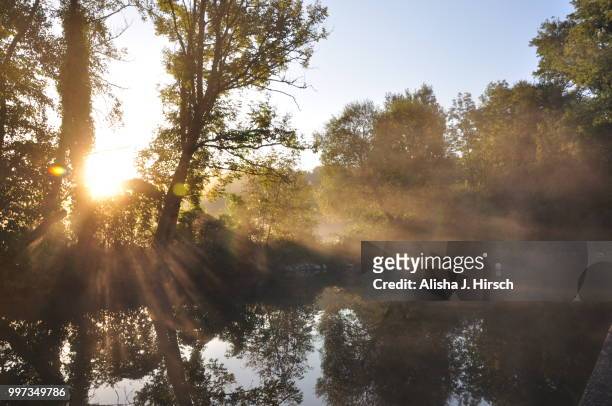 morning lights - hirsch stock pictures, royalty-free photos & images