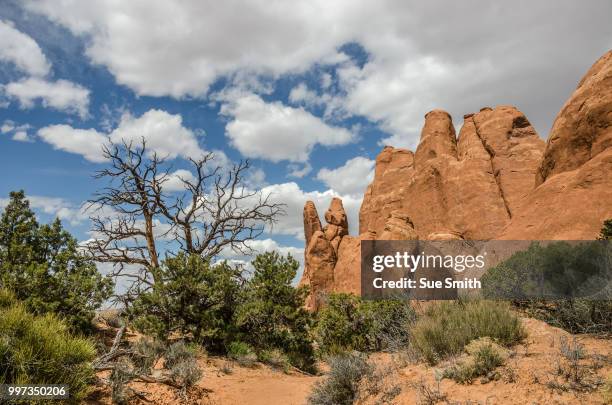 peace in arches national park - dale smith stock pictures, royalty-free photos & images