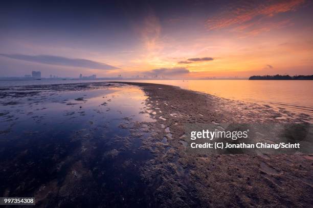 fiery shoreline - jonathan chiang stock-fotos und bilder