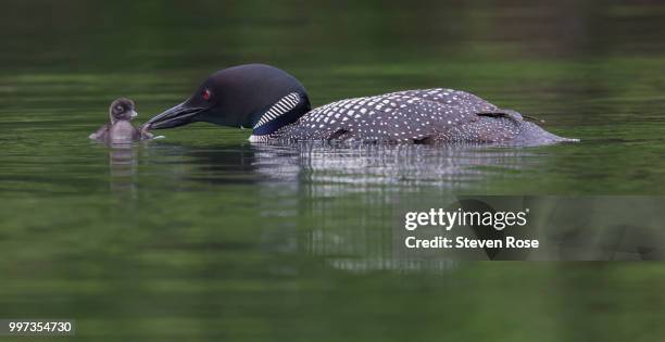 yummy - yummy stock pictures, royalty-free photos & images