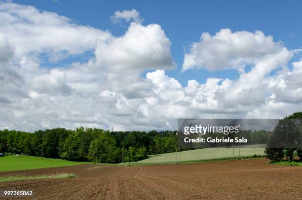 field and clouds - sala stock pictures, royalty-free photos & images