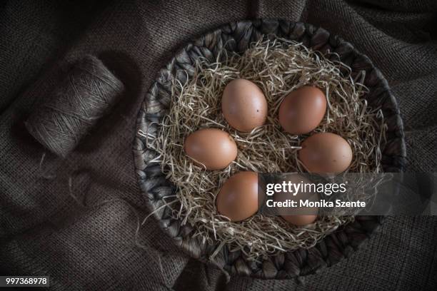 fresh farm eggs in a basket - eggs in basket stock pictures, royalty-free photos & images