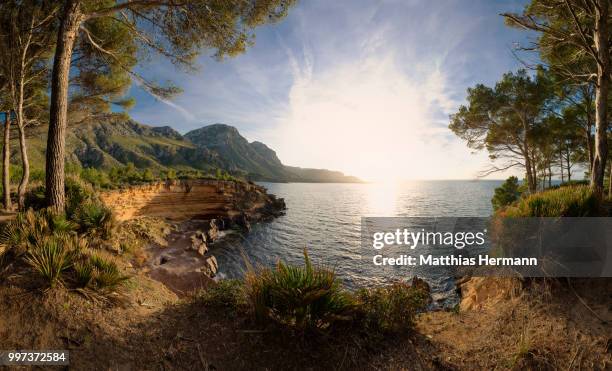 golden hour - hermann stock-fotos und bilder