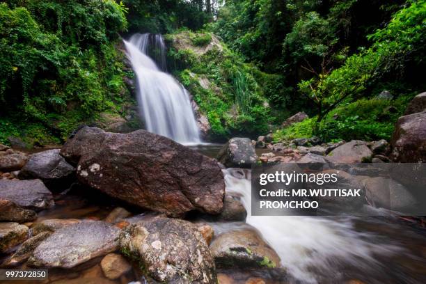 big waterfall in the rainforest. - province de surat thani photos et images de collection