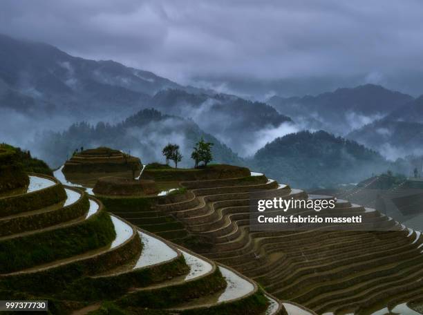 Stacked Rice Farm 10,186 Rice Lake Stock Photos, High-Res Pictures, and Images - Getty Images