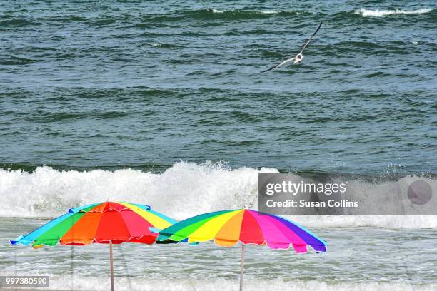 umbrellas on the beach - collins beach stock pictures, royalty-free photos & images