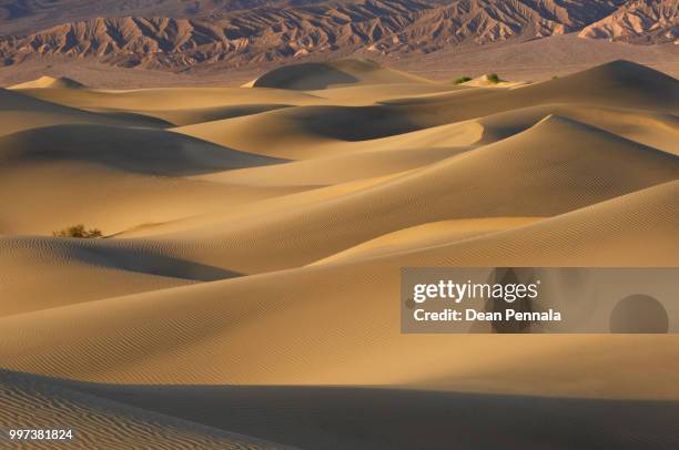 mesquite flat sand dunes - mesquite flat dunes stock pictures, royalty-free photos & images