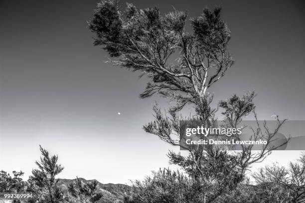 abel tasman nationalpark, new zealand - abel tasman nationalpark stock-fotos und bilder