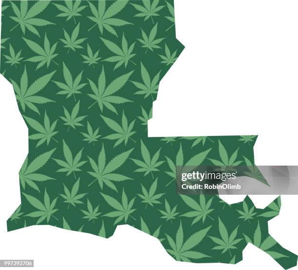 louisiana marijuana leaves map - robinolimb stock illustrations