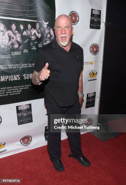 Ric Drasin attends a screening of the pro wrestling documentary "350 Days" at TCL Chinese 6 Theatres on July 12, 2018 in Hollywood, California.