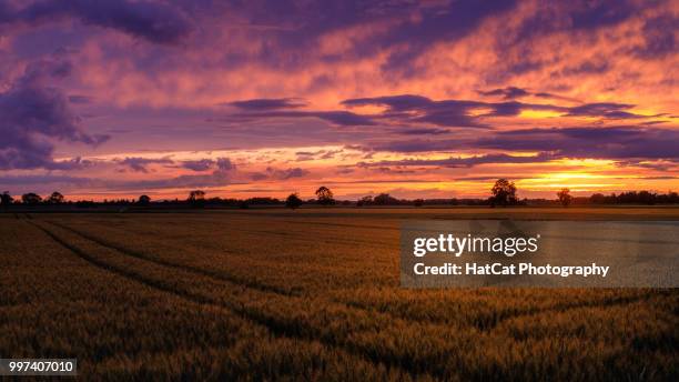 after the rain - rain hat stock pictures, royalty-free photos & images