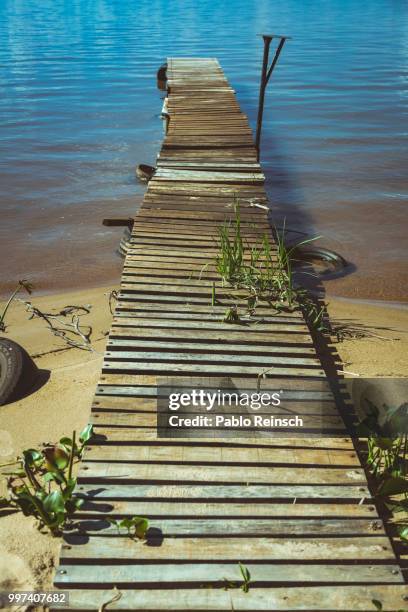 camino al agua... - camino 個照片及圖片檔