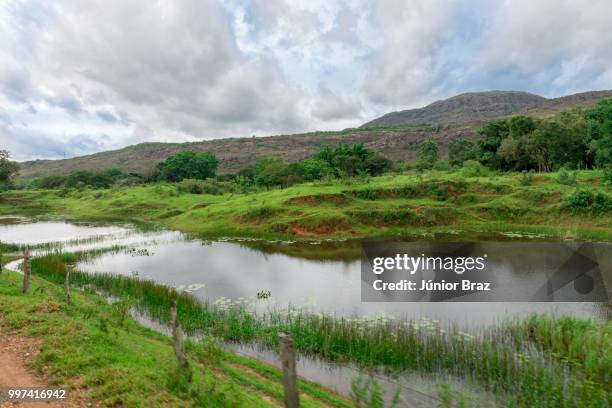 watercourse on brown lake in green nature - watercourse stock pictures, royalty-free photos & images